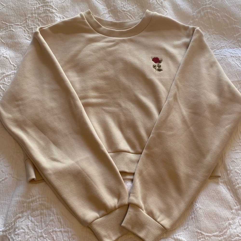 Aritzia Sweater